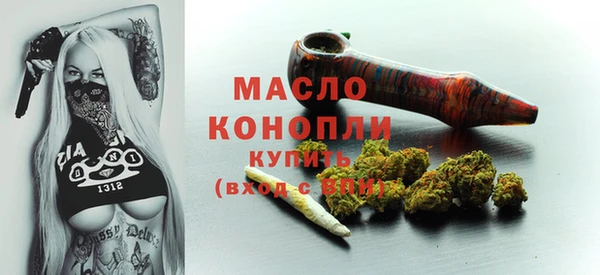 соль ск Ельня