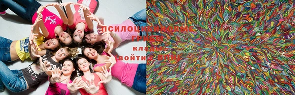 круглые Елизово