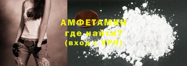 соль ск Ельня