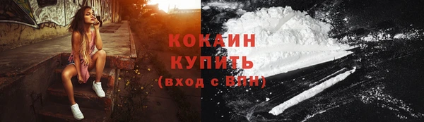 соль ск Ельня