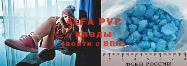 соль ск Ельня