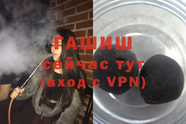 соль ск Ельня