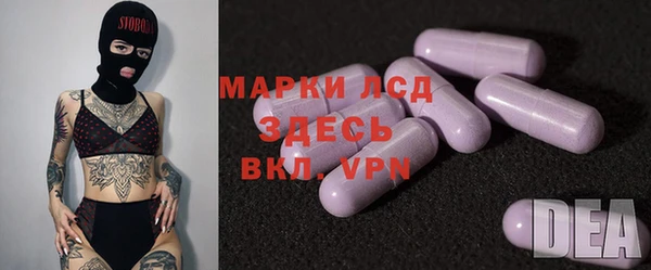 соль ск Ельня