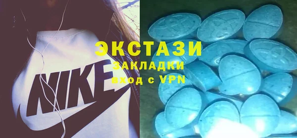 соль ск Ельня
