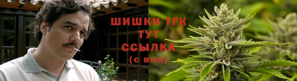 соль ск Ельня