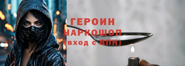 соль ск Ельня