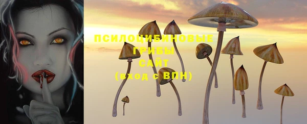 соль ск Ельня