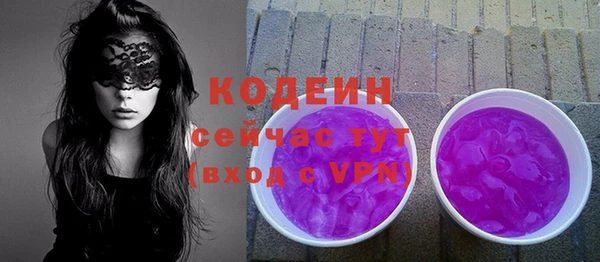 соль ск Ельня