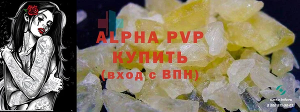 соль ск Ельня