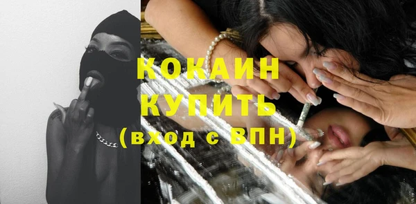 соль ск Ельня