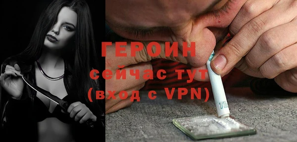 соль ск Ельня